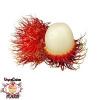 Arôme : Vcfa Rambutan
Dernière mise à jour le : 06-12-2016 Arôme : Vcfa Rambutan
Dernière mise à jour le : 06-12-2016