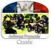 Arôme : cassis par A&L Arôme : cassis par A&L