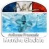 Arme :  Menthe Glaciale 
Dernire mise  jour le :  20-05-2014 