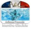 Arme :  Menthe Glaciale ( A&L ) 