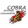 Arme :  Cobra par Allday