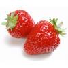 Arôme : fraise par Aromea Arôme : fraise par Aromea