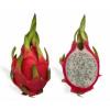 Arôme : Fruit Du Dragon
Dernière mise à jour le : 02-09-2017 Arôme : Fruit Du Dragon
Dernière mise à jour le : 02-09-2017