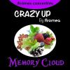 Arme :  Memory Cloud ( Aromea ) 