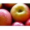 Arôme : Apple
Dernière mise à jour le : 19-11-2014 Arôme : Apple
Dernière mise à jour le : 19-11-2014