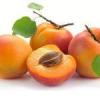 Arme :  Apricot Natural 
Dernire mise  jour le :  06-10-2014 