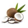 Arme :  Coconut 
Dernire mise  jour le :  06-10-2014 