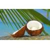 Arôme : Coconut Natural
Dernière mise à jour le : 18-08-2016 Arôme : Coconut Natural
Dernière mise à jour le : 18-08-2016