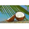 Arme :  Coconut Natural 
Dernire mise  jour le :  04-10-2014 