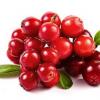 Arôme : Cranberry
Dernière mise à jour le : 04-10-2014 Arôme : Cranberry
Dernière mise à jour le : 04-10-2014