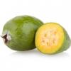 Arme :  Feijoa 
Dernire mise  jour le :  06-10-2014 