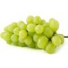 Arme :  Grape White 
Dernire mise  jour le :  14-03-2016 