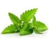 Arme :  Mint Natural par Baker Flavors