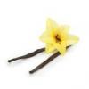 Arôme : Sweet Vanilla
Dernière mise à jour le : 18-08-2016 Arôme : Sweet Vanilla
Dernière mise à jour le : 18-08-2016