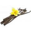 Arôme : Vanilla Classic
Dernière mise à jour le : 18-08-2016 Arôme : Vanilla Classic
Dernière mise à jour le : 18-08-2016