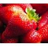 Arme :  Wild Strawberry par Baker Flavors