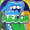 Arme :  Sea Melon par Big Mouth
