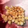 Arme :  Pop Corn Caramelise ( Bio Concept ) 