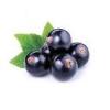 Arôme : sl black currant par Capella Flavors Inc. Arôme : sl black currant par Capella Flavors Inc.