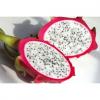 Arôme : Fruit Du Dragon
Dernière mise à jour le : 22-11-2015 Arôme : Fruit Du Dragon
Dernière mise à jour le : 22-11-2015