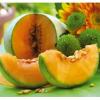 Arôme : Melon
Dernière mise à jour le : 28-11-2015 Arôme : Melon
Dernière mise à jour le : 28-11-2015
