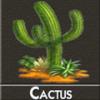Arme :  cactus par DIY and Vap