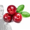 Arôme : Cranberries
Dernière mise à jour le : 21-04-2017 Arôme : Cranberries
Dernière mise à jour le : 21-04-2017