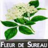 Arôme : Fleur De Sureau
Dernière mise à jour le : 10-08-2015 Arôme : Fleur De Sureau
Dernière mise à jour le : 10-08-2015
