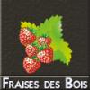 Arme :  Fraise Des Bois ( DIY and Vap ) 