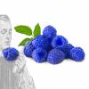 Arôme : Framboise Bleue
Dernière mise à jour le : 14-08-2016 Arôme : Framboise Bleue
Dernière mise à jour le : 14-08-2016
