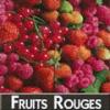 Arme :  Fruits Rouges ( DIY and Vap ) 