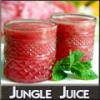 Arme :  jungle juice par DIY and Vap