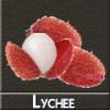 Arôme : Lychee
Dernière mise à jour le : 03-07-2014 Arôme : Lychee
Dernière mise à jour le : 03-07-2014