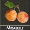 Arôme : Mirabelle
Dernière mise à jour le : 03-07-2014 Arôme : Mirabelle
Dernière mise à jour le : 03-07-2014