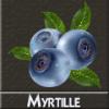 Arme :  Myrtille ( DIY and Vap ) 