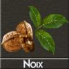 Arme :  Noix ( DIY and Vap ) 