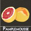 Arôme : pamplemouse par DIY and Vap Arôme : pamplemouse par DIY and Vap