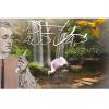 Arme :  paradise par DIY and Vap
