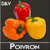 Arôme : Poivron
Dernière mise à jour le : 09-11-2015 Arôme : Poivron
Dernière mise à jour le : 09-11-2015