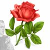 Arôme : Rose
Dernière mise à jour le : 09-11-2015 Arôme : Rose
Dernière mise à jour le : 09-11-2015