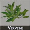 Arme :  verveine par DIY and Vap