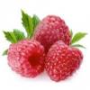 Arme :  Framboise 
Dernire mise  jour le :  20-05-2014 