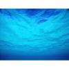 Arme :  Menthe Bleue par E-cetera