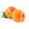 Arme :  abricot par Excellence Flavor