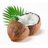 Arme :  Noix De Coco 
Dernire mise  jour le :  20-04-2014 