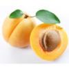 Arme :  Apricot ( Flavor West ) 