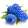 Arôme : Blue Raspberry
Dernière mise à jour le : 30-01-2016 Arôme : Blue Raspberry
Dernière mise à jour le : 30-01-2016