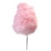 Arme :  Cotton Candy ( Flavor West ) 