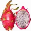 Flavor :  Dragon Fruit 
Last updated on :  04-06-2016 