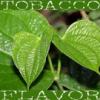 Arme :  Stag Leaf Tobacco par Flavor West